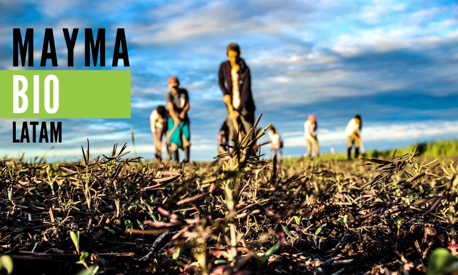 Odoo CMS - una imagen grande